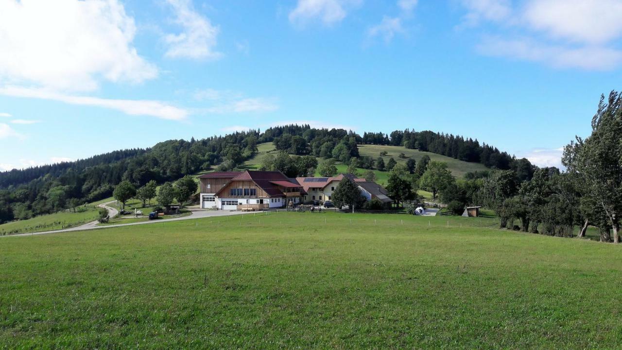 Oetscherblick Fam Winter Frankenfels Buitenkant foto