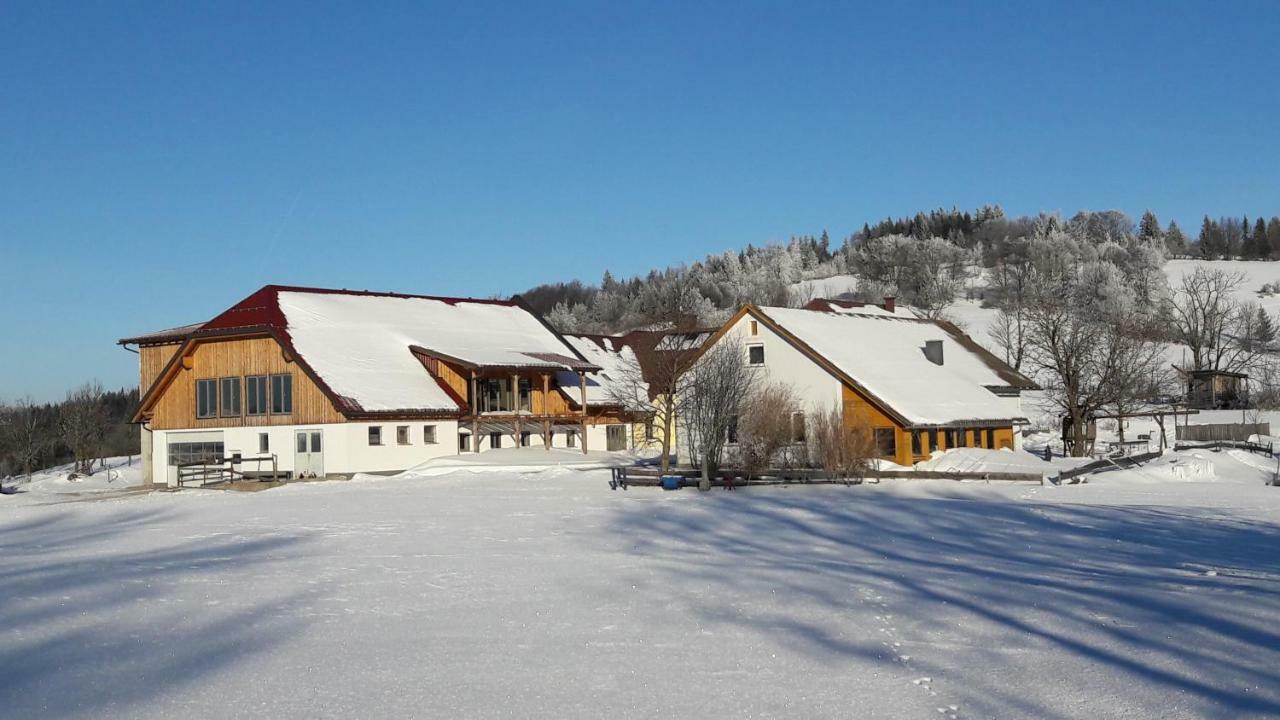 Oetscherblick Fam Winter Frankenfels Buitenkant foto
